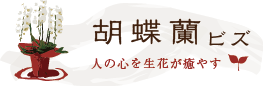 胡蝶蘭ビズ/特定商取引に関する法律に基づく表記